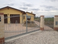 Tribuno