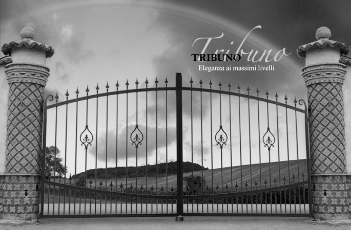 Tribuno